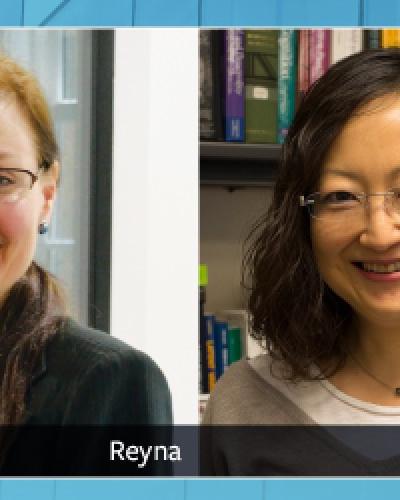 Reyna and Wang cover image 