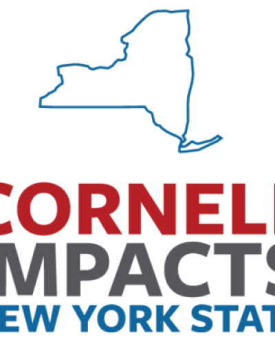 NYS impact opioids